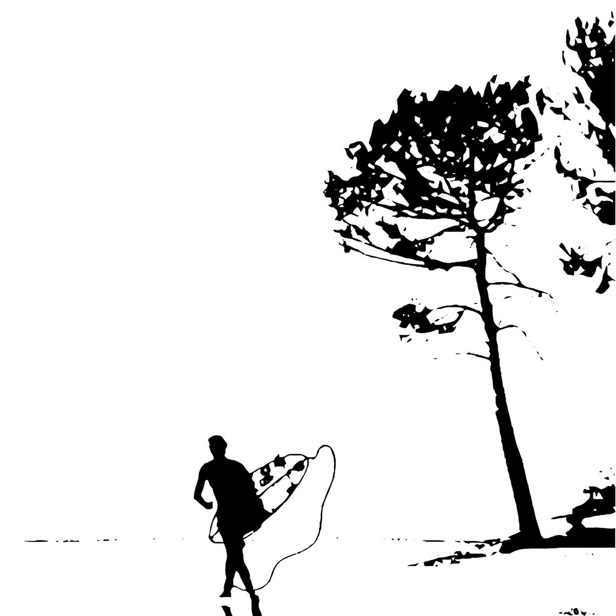 Tableau landes tableau alu dibond, HEXOA