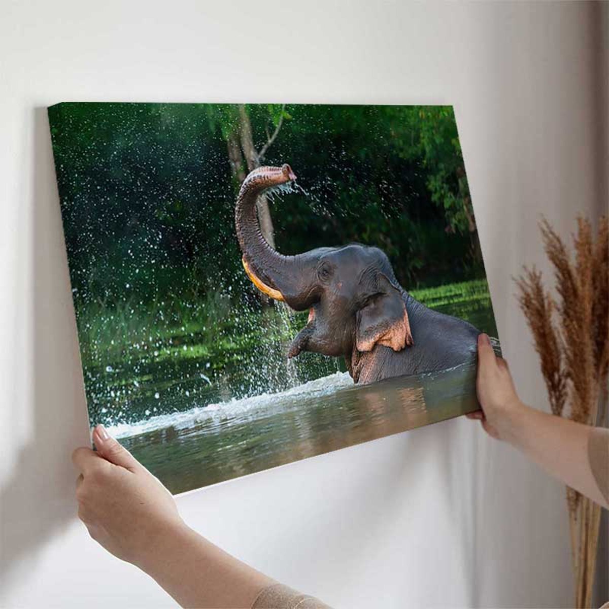 Tableau éléphant sauvage éclaboussures d’eau tropicales toile imprimée, HEXOA