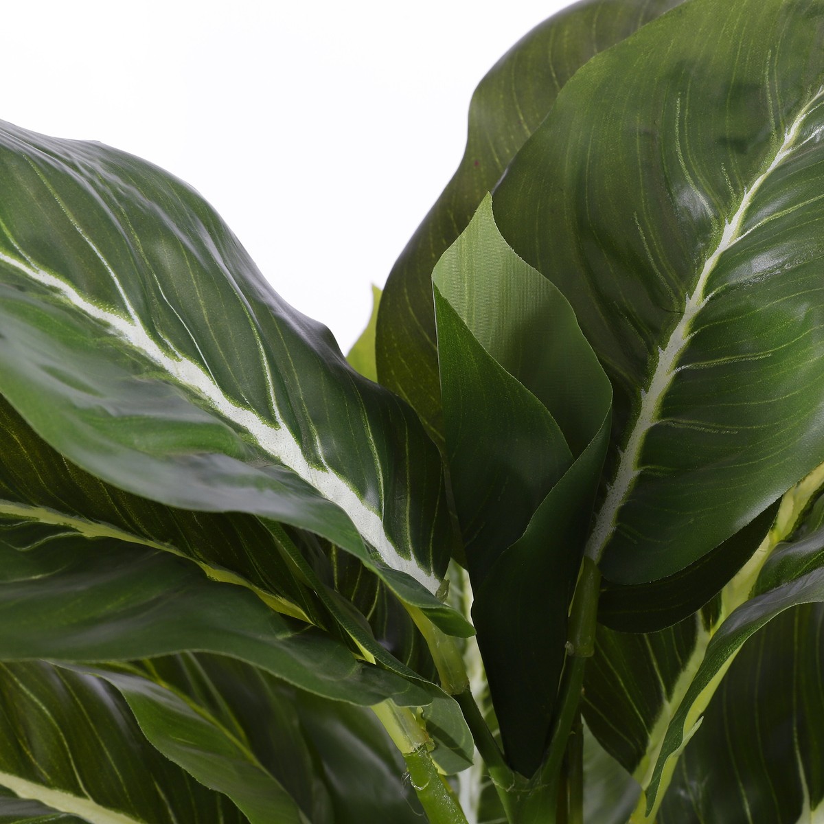 Plante artificielle EVERGREEN vert, MICA DECORATIONS