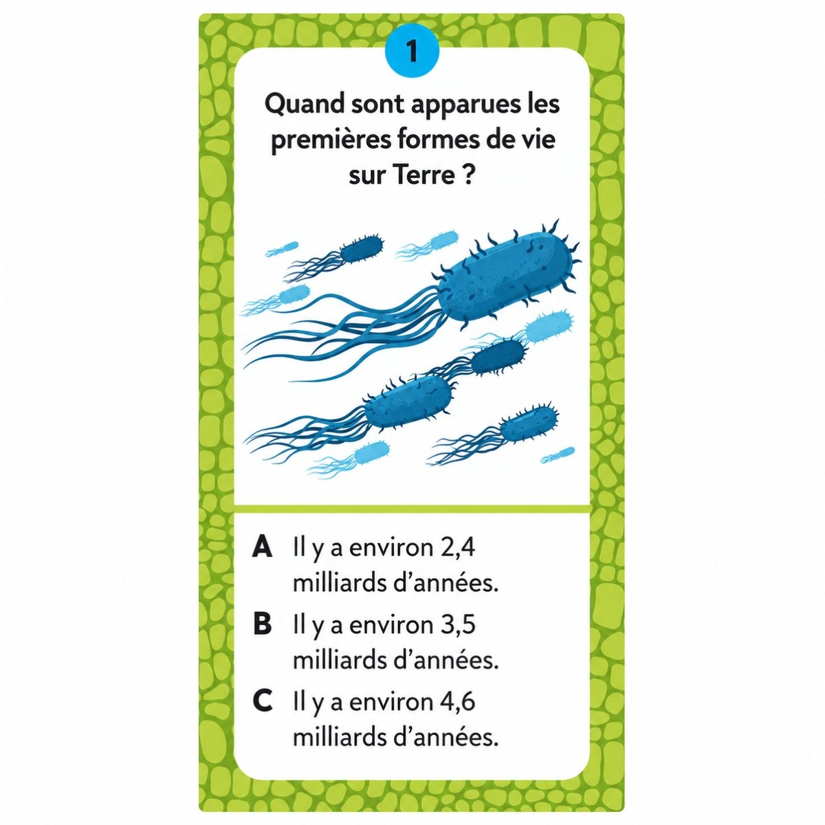 Coffret Méga Atlas des Dinosaures vert, SASSI JUNIOR