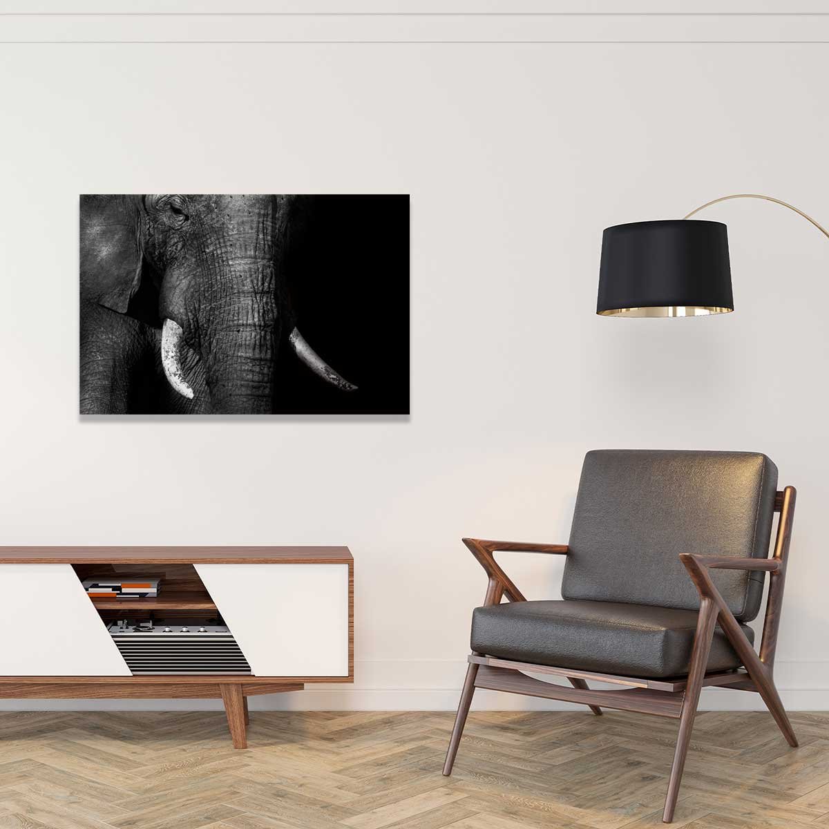 Tableau animaux elephant loxodonta africana tableau alu dibond, HEXOA