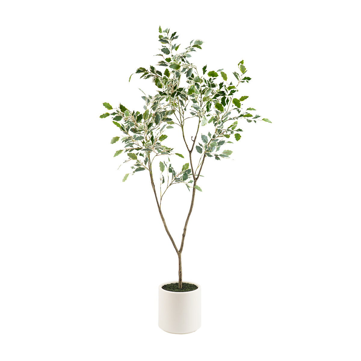 150cm Artificial Ficus Tree green, SO'HOME