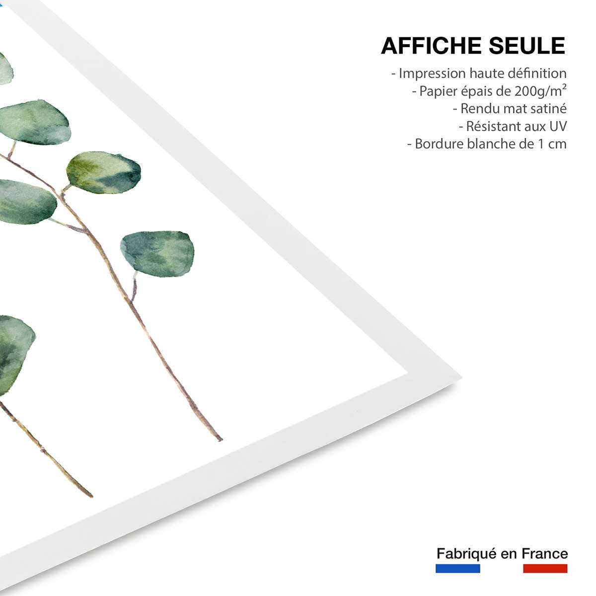 Affiche aquarelle eucalyptus affiche seule, HEXOA