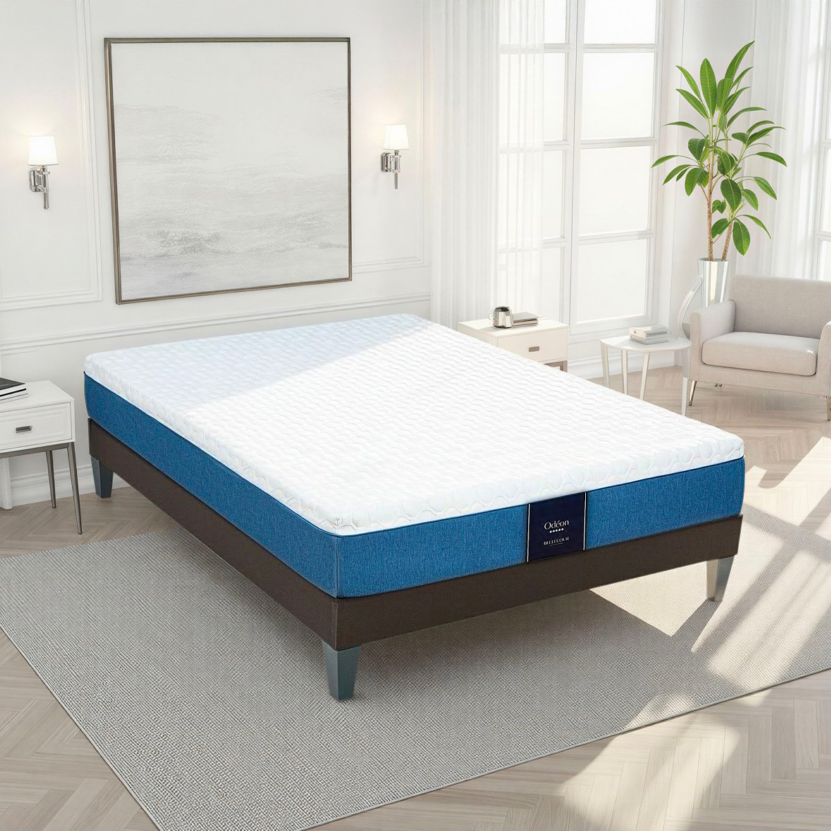 Matelas Mémoire de forme 24 cm ODÉON blanc, BELLECOUR