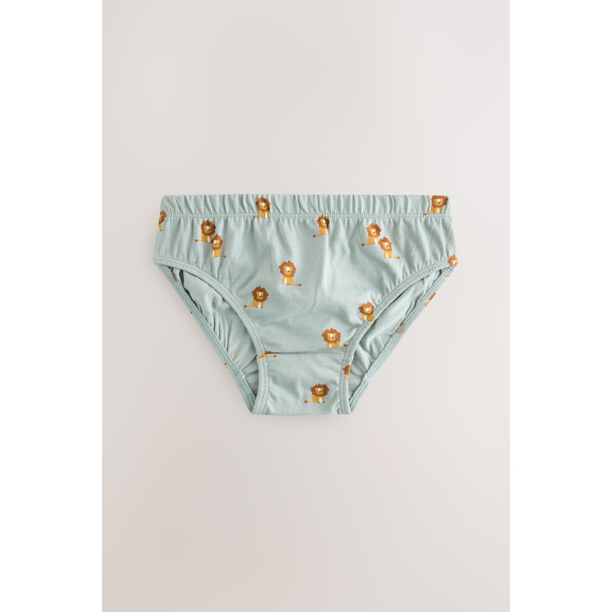 Slips, lot de 10 impression safari, NEXT
