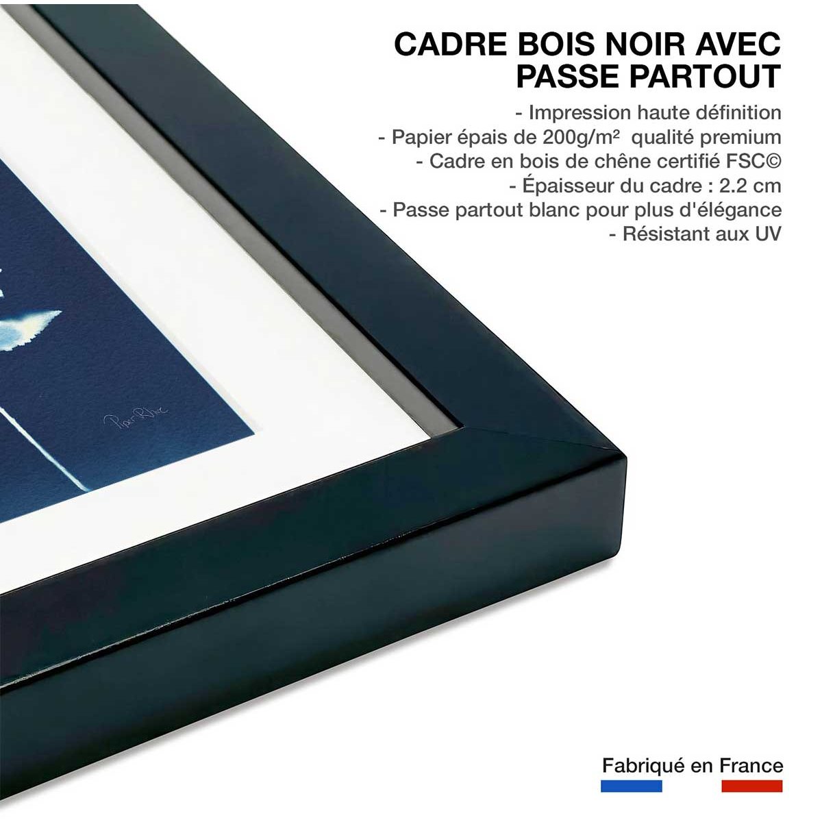 Affiche Fougère bleue affiche + cadre en bois - noir, HEXOA