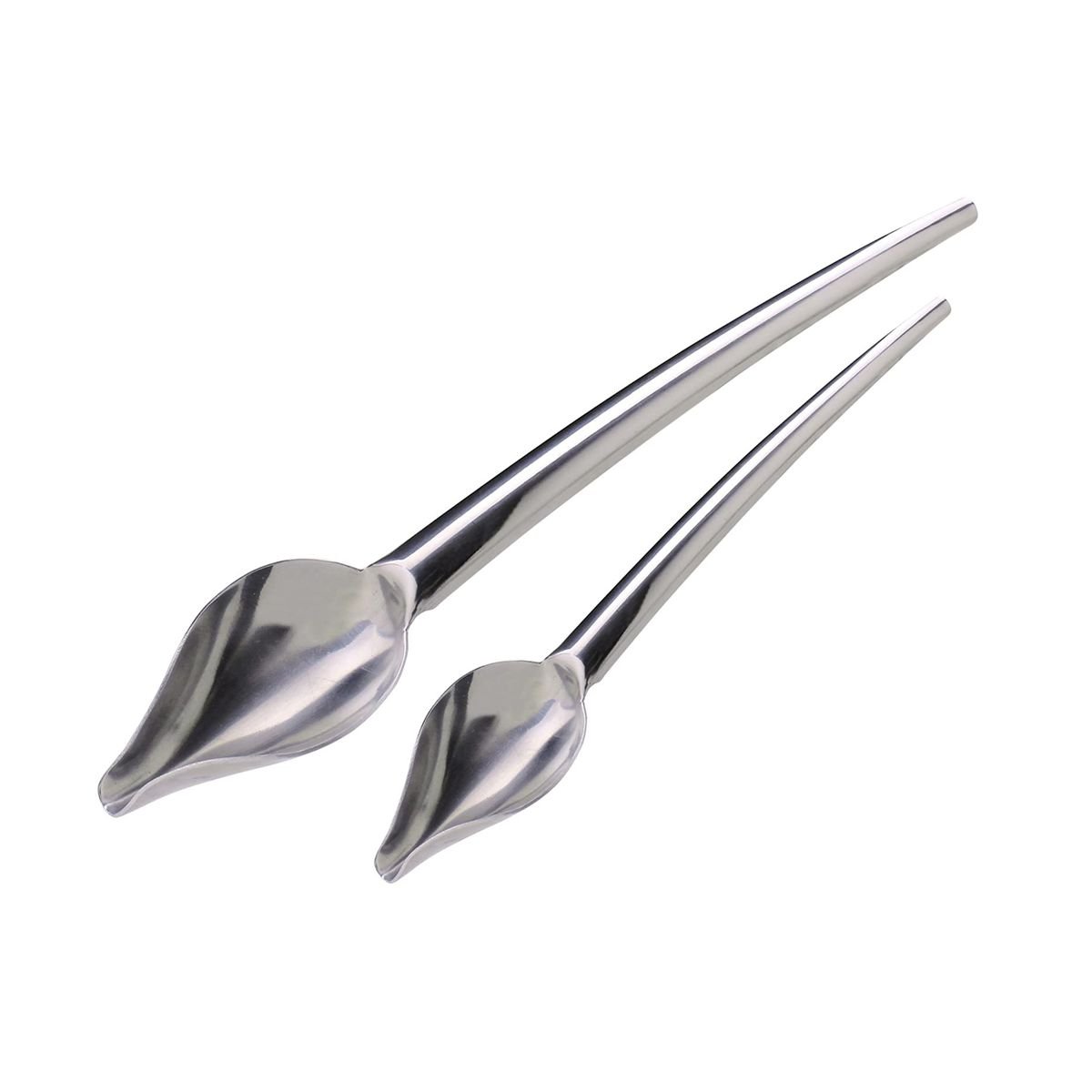 Lot de 2 cuillères plume JEAN DAUDIGNAC inox, FACKELMANN