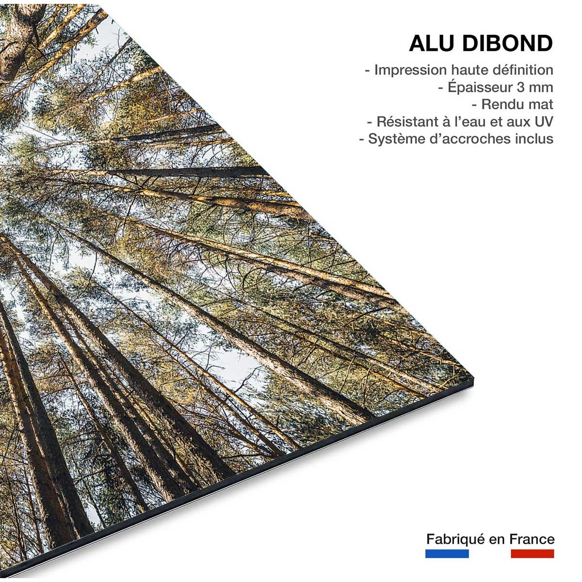 Tableau perspective des cîmes tableau alu dibond, HEXOA