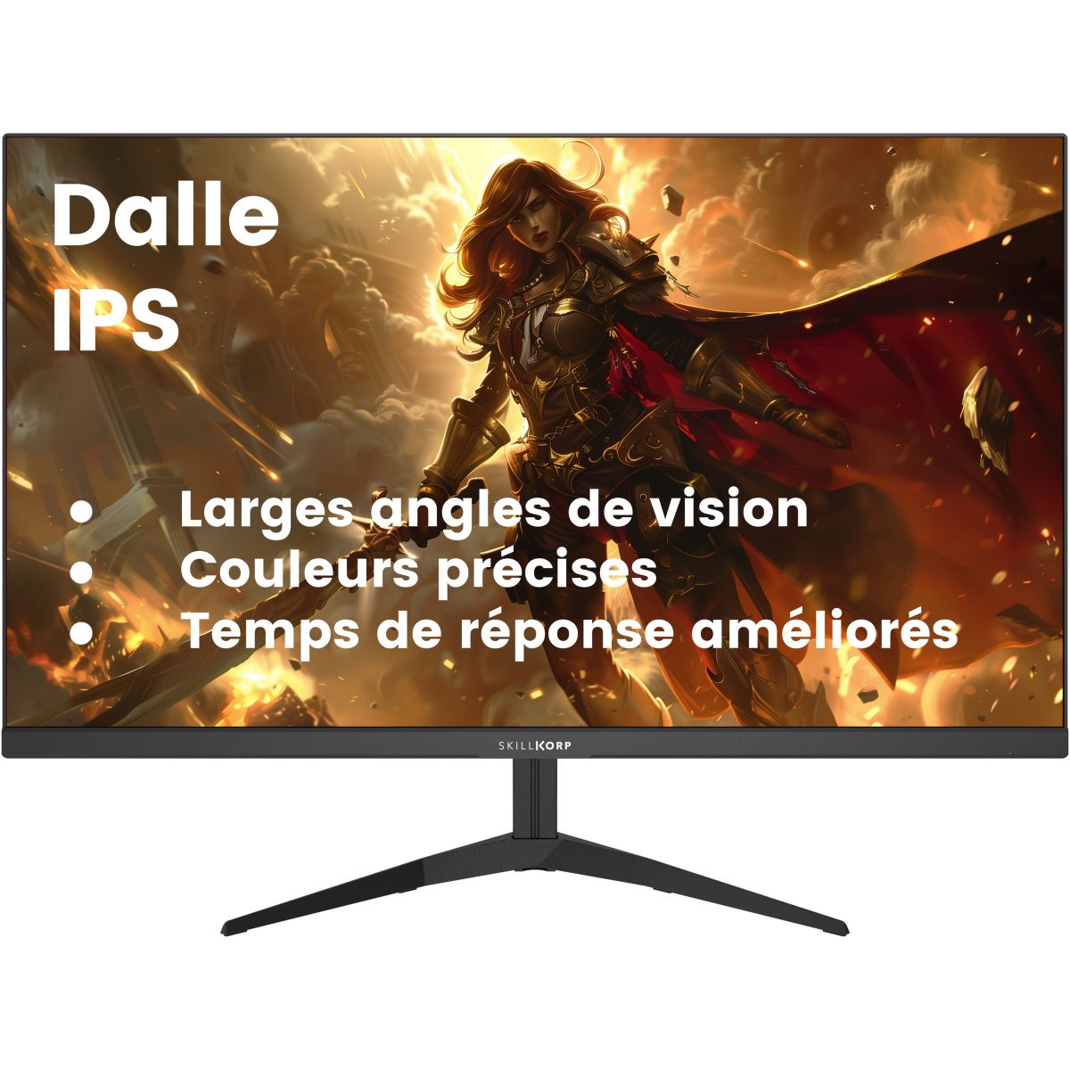 Ecran PC Gamer SKP M24 24" Full HD 240Hz Fast IPS AMD FreeSync couleur unique, SKILLKORP