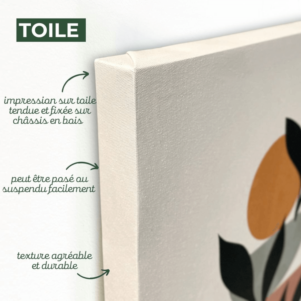 Tableau Mural Champ Coquelicot FLEUR tableaux sur toile-rose, CEANOTHE
