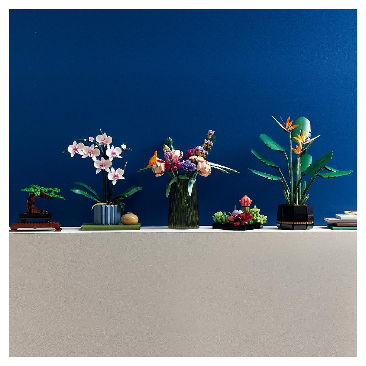 LEGO Botanicals - LEGO Creator - L'orchidée - 10311 blanc, rose, bleu, marron, LEGO