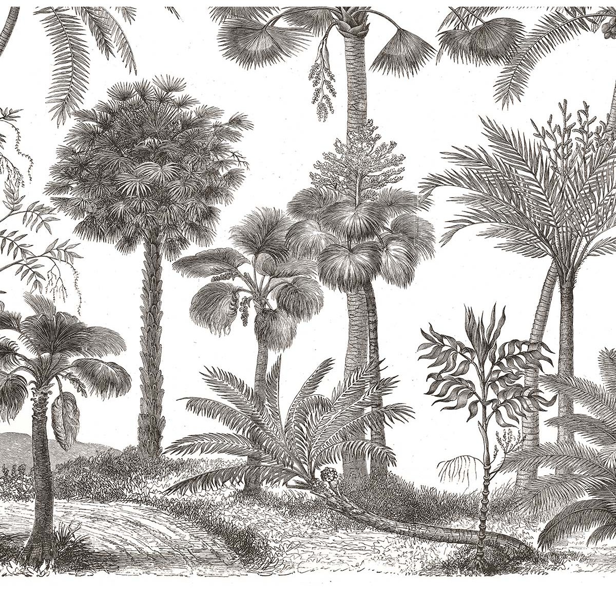 Papier peint tropiques intissé, HEXOA
