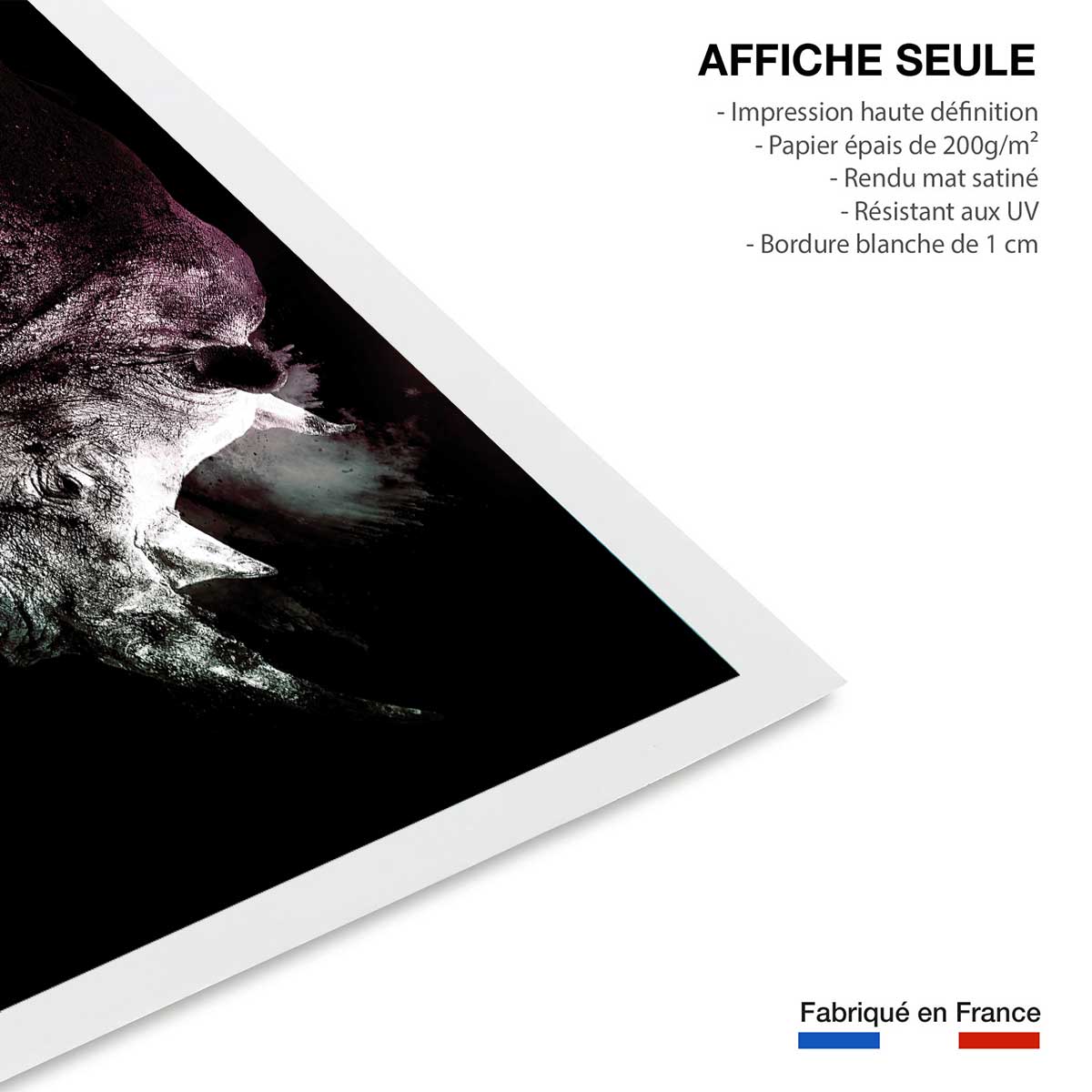 Affiche wild explosion rhinoceros affiche seule, HEXOA