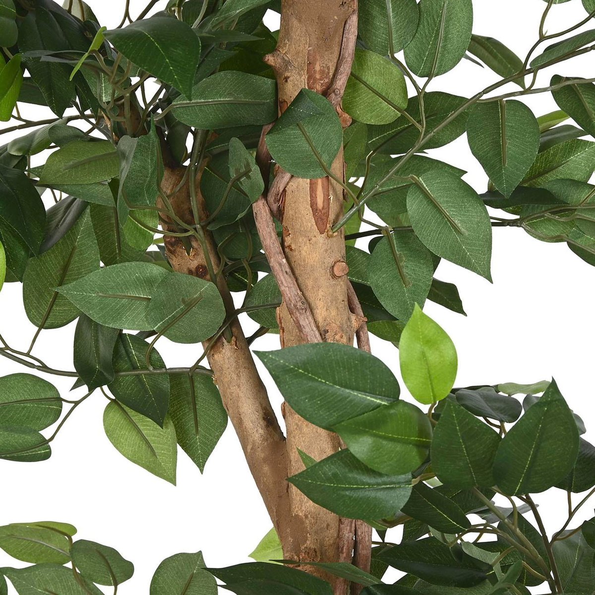 Plante artificielle d'intérieur ficus 56x56x150cm vert, WADIGA