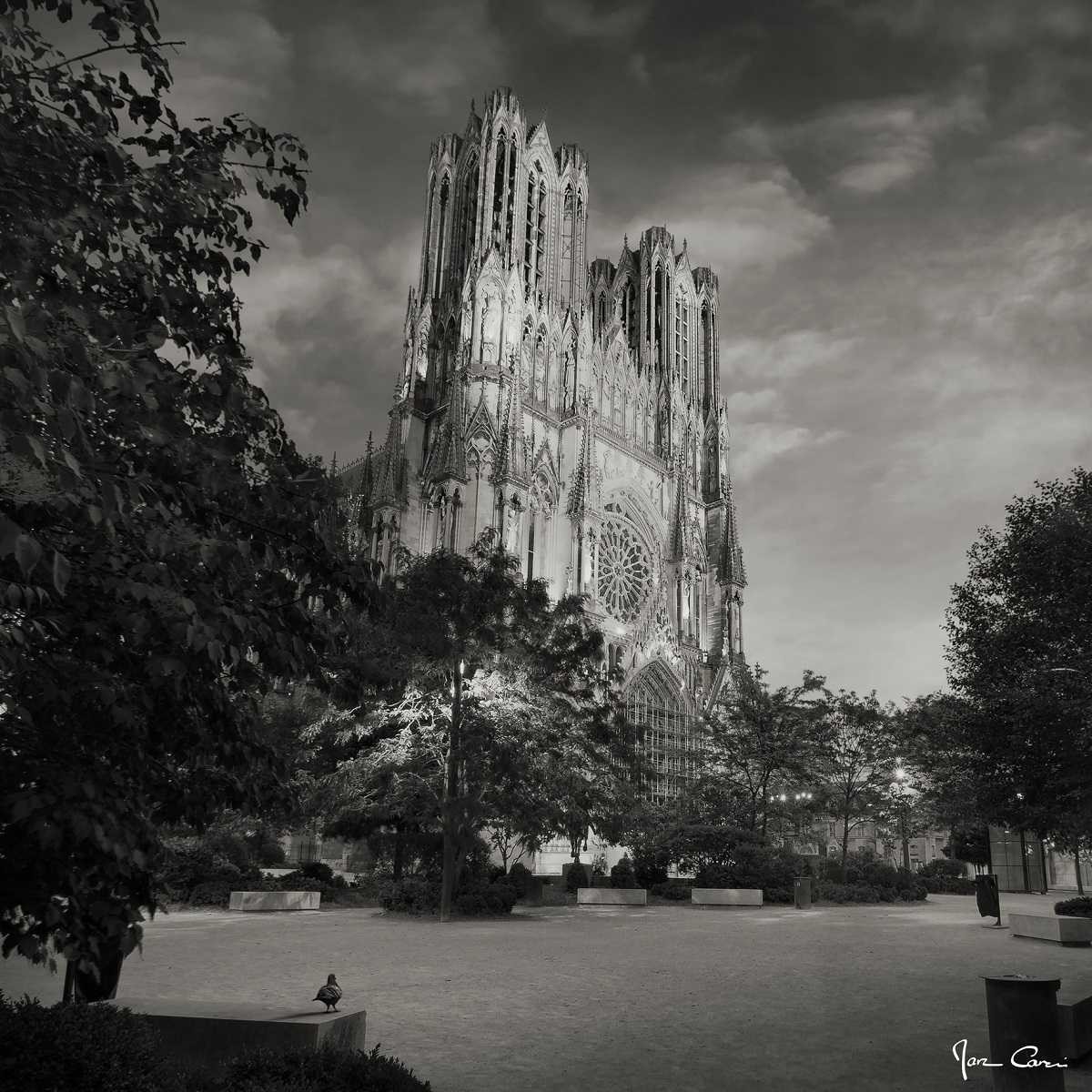 Tableau Mural Cathédrale De Reims Nuit 65x65 Cm ARCHITECTURE tableaux sur toile-noir & blanc, CEANOTHE