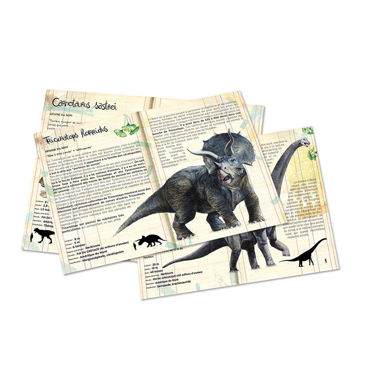 Coffret 3 puzzles dinosaures et posters beige, VILAC