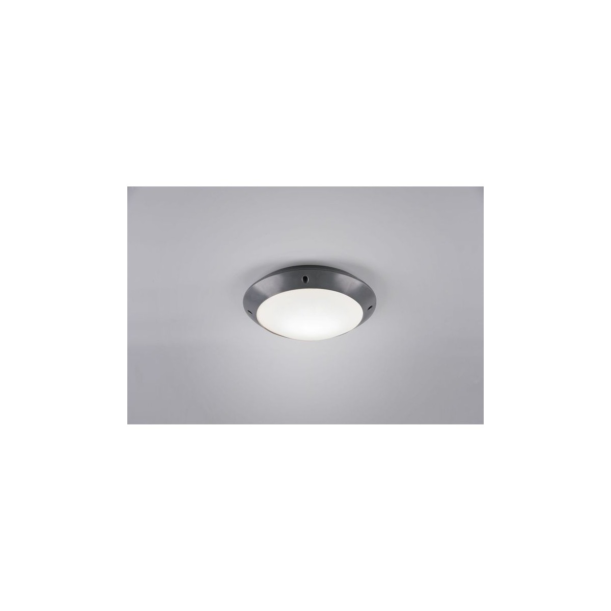 Plafonnier de jardin moderne taille S Camaro anthracite, TRIO