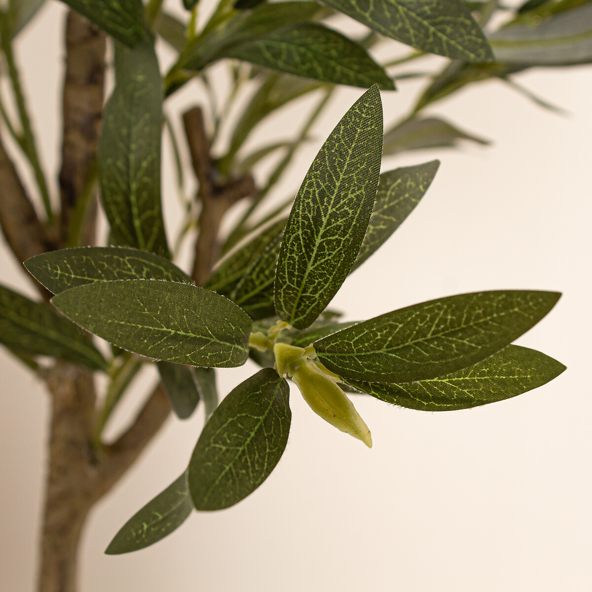 120cm Olive Tree multi-coloured, SO'HOME