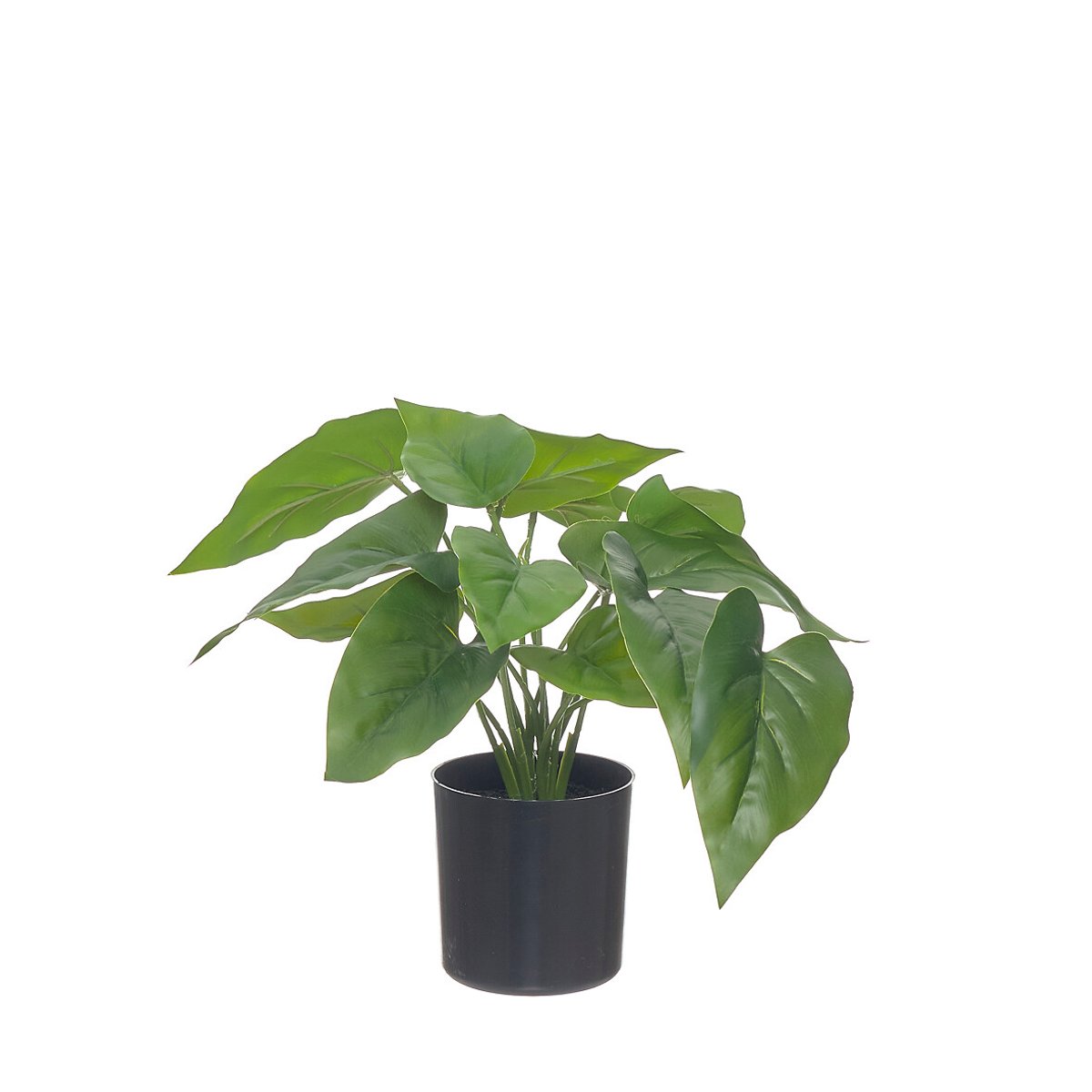 Planta artificial "Anthurium" 33cm, BORGHESI verde, BORGHESI