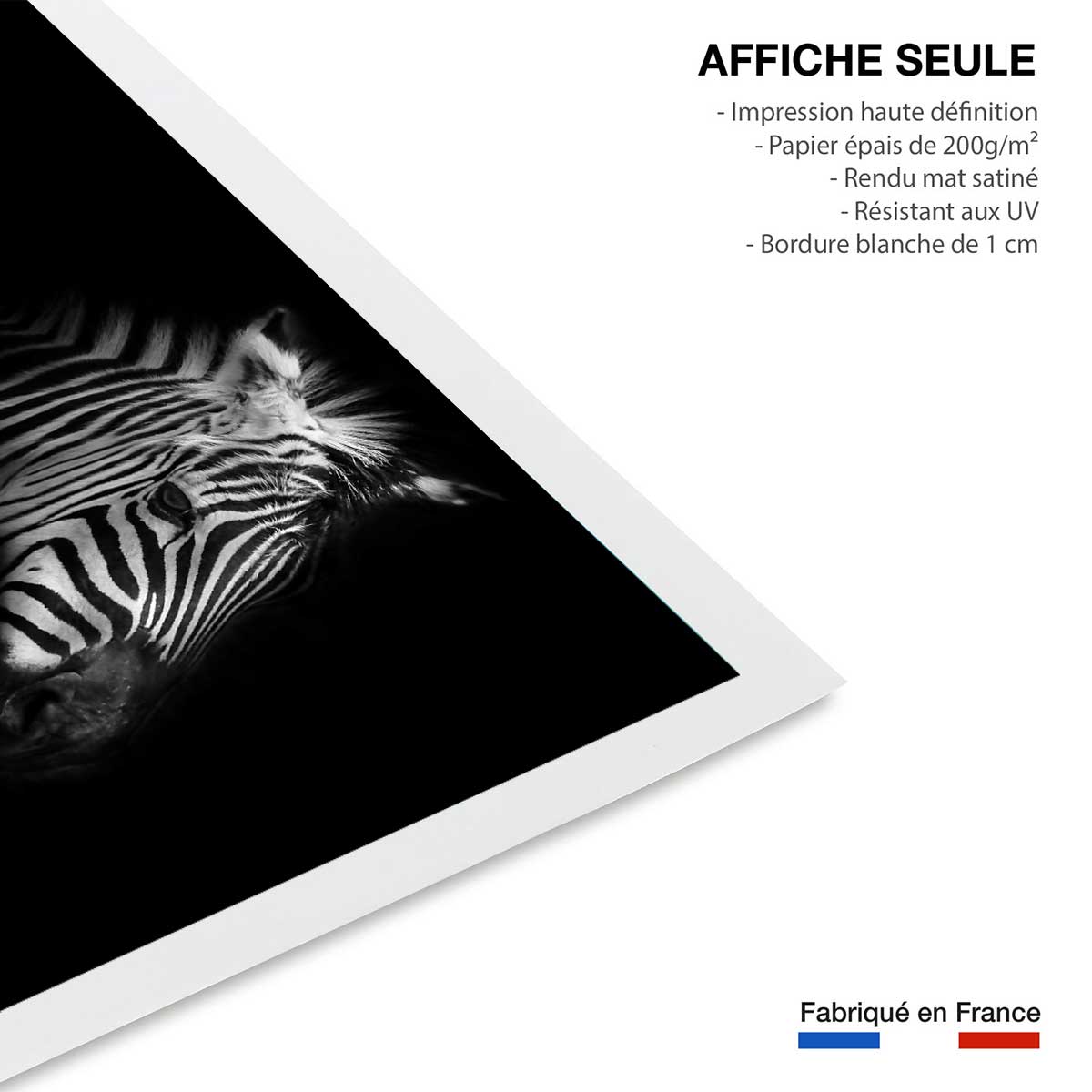 Affiche zebre dans la lumière affiche seule, HEXOA