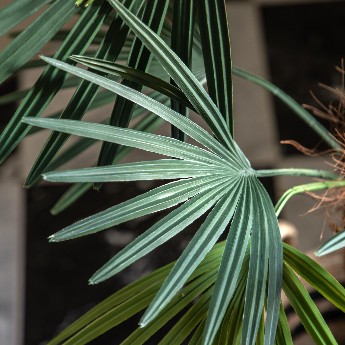 117cm Potted Statement Palm grey, ÉDITÉ