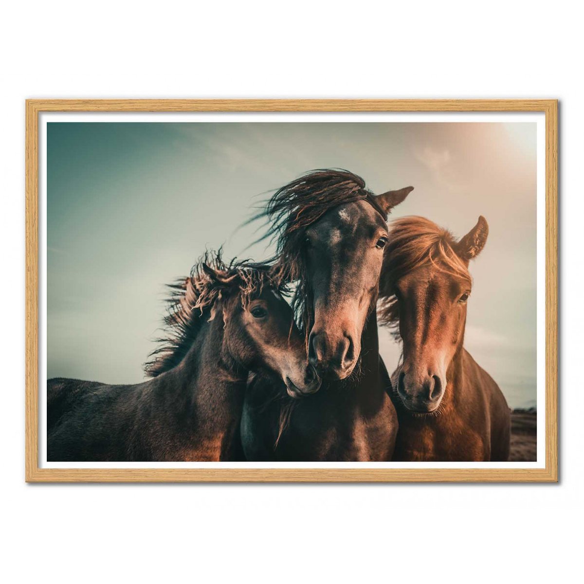 Affiche d’art et cadre noir 30 x 40 cm - Family Portrait - Marcus Hennen affiche d'art, WALL EDITIONS