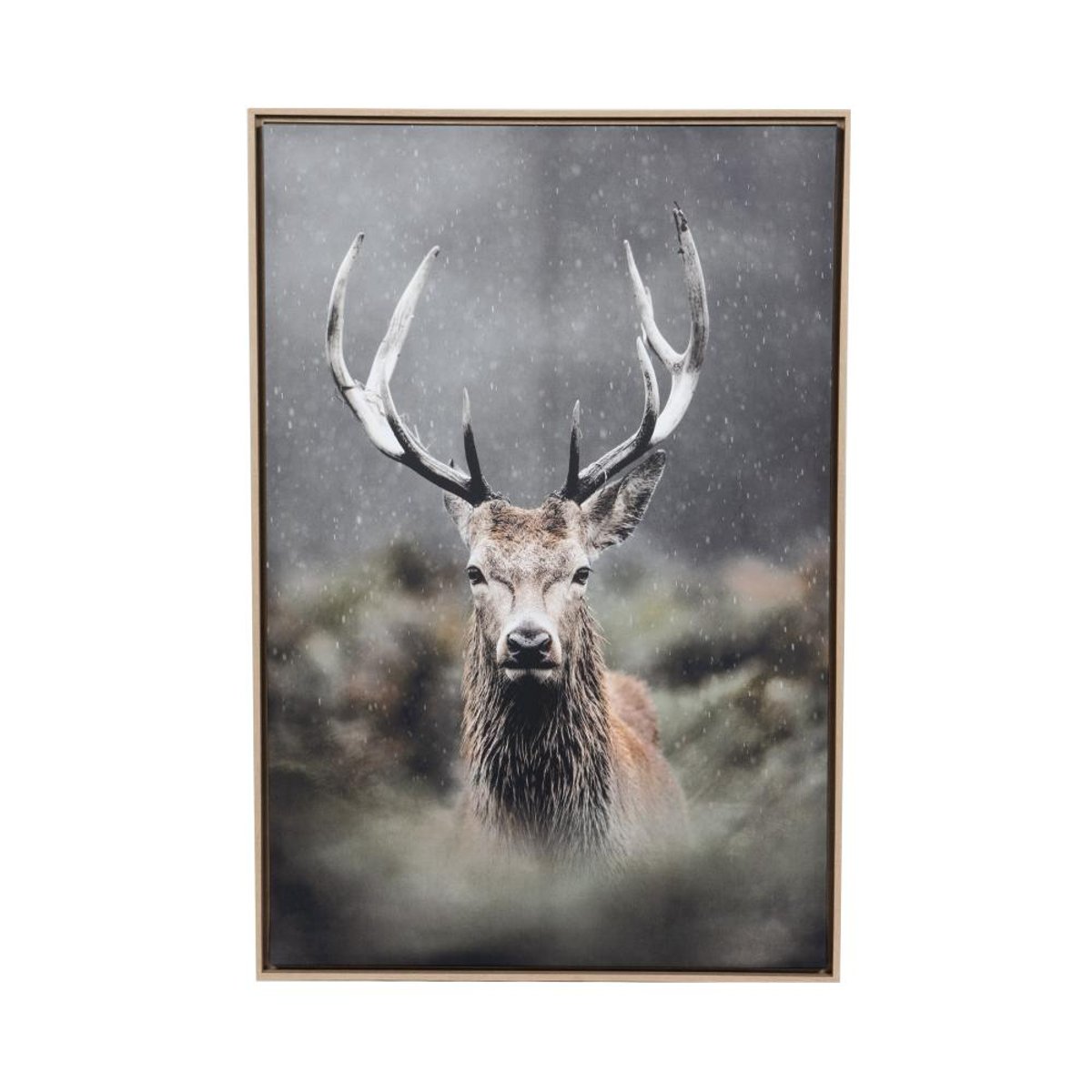 Toile cerf dans les buissons 80x120 cm gris, AMADEUS