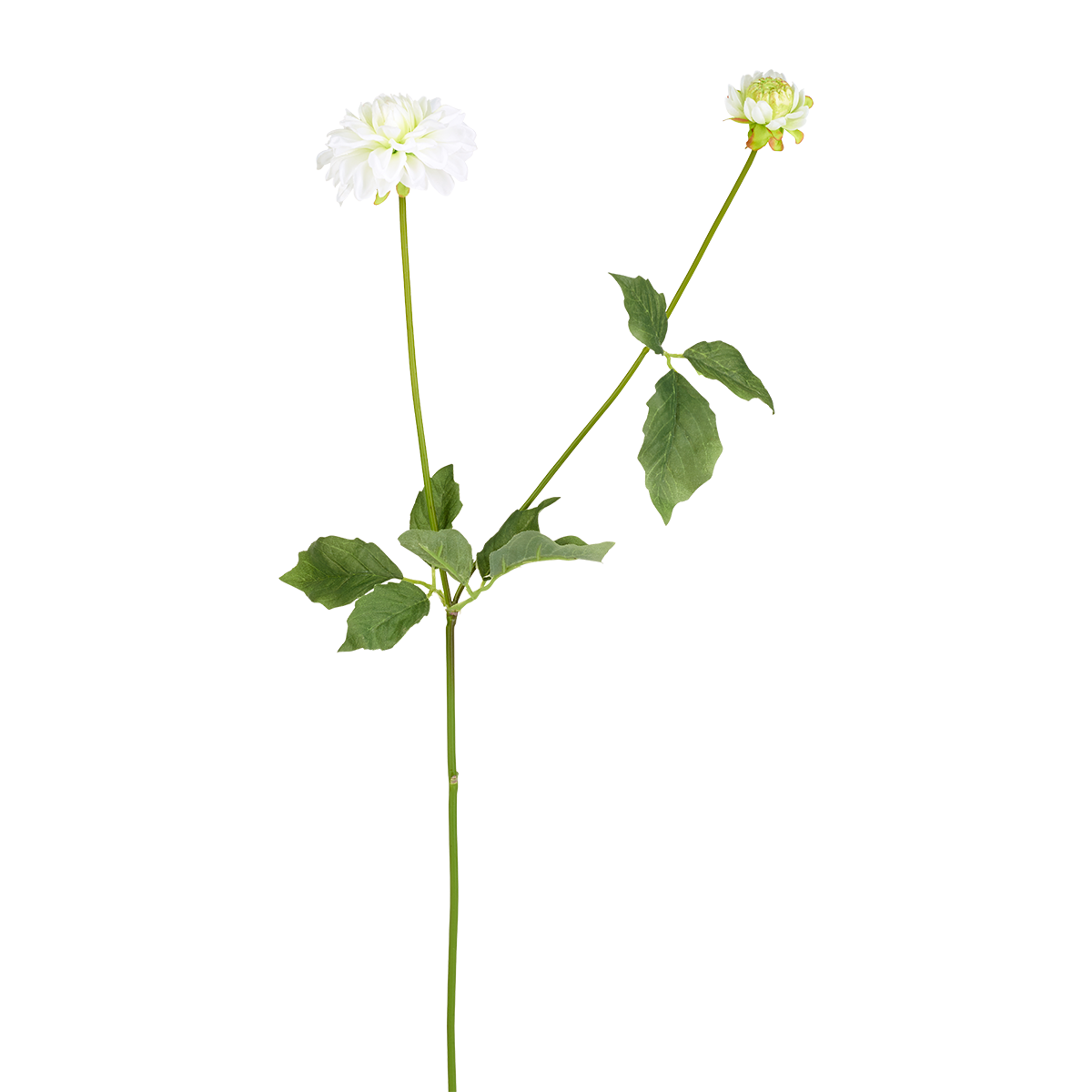 Tige de dahlia artificielle H70 blanc, SIA DECO