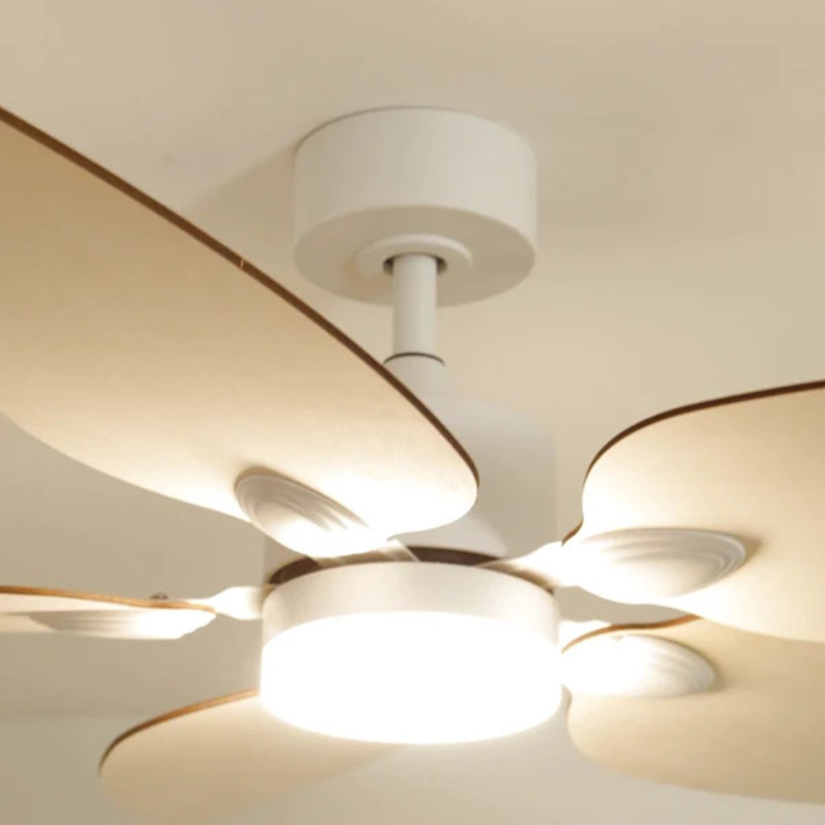 Plafonnier ventilateur en bois de peuplier VIREVOLE bois clair, ATELIER LOUPIOTE
