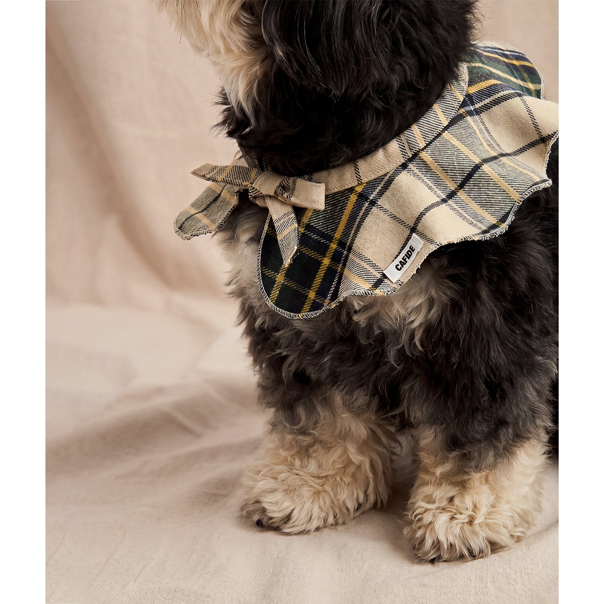 Bandana pour chien style col tartan beige, Lola beige, CAFIDE