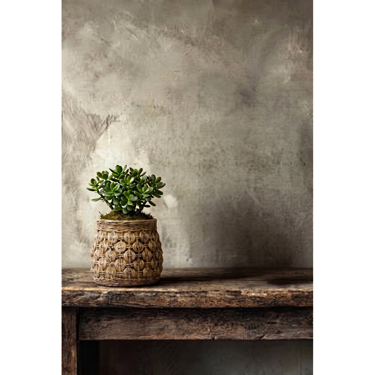 Cache-pot en béton KNOT beige, BAZAR BIZAR