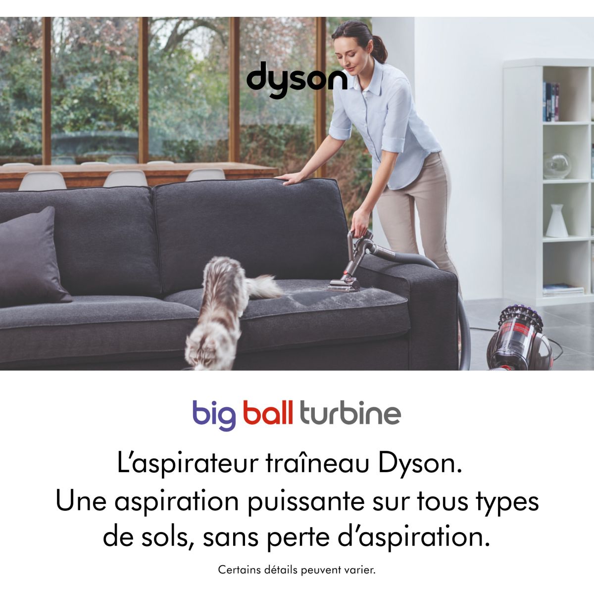 Aspirateur sans sac Big Ball Turbine+ couleur unique, DYSON