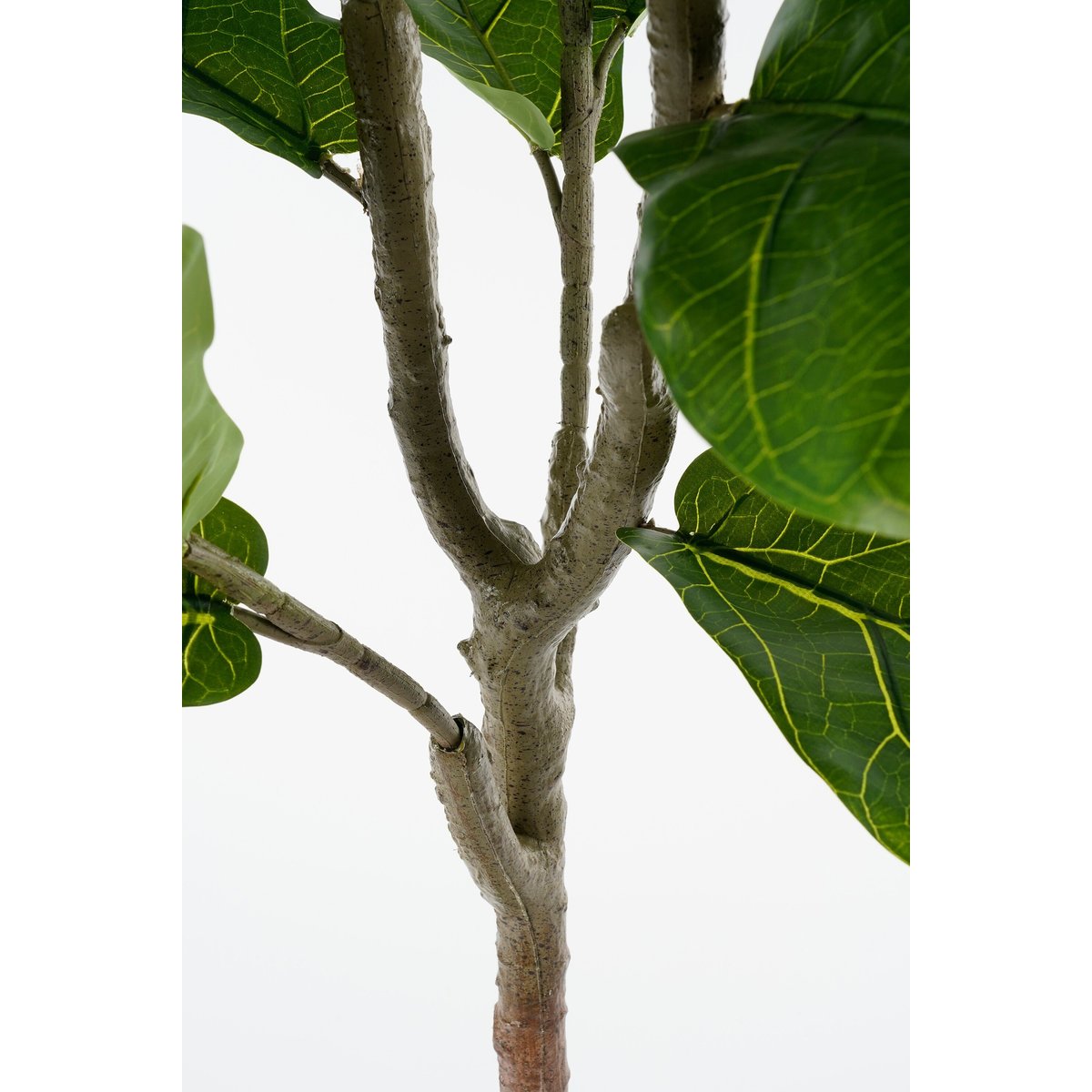 Plante artificielle FICUS vert, MICA DECORATIONS