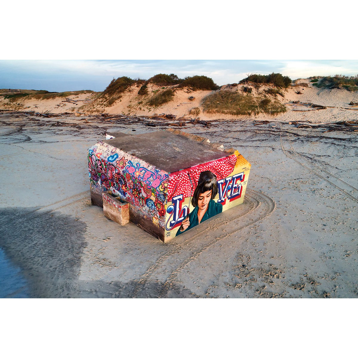 Tableau blockhaus art love tableau alu dibond, HEXOA