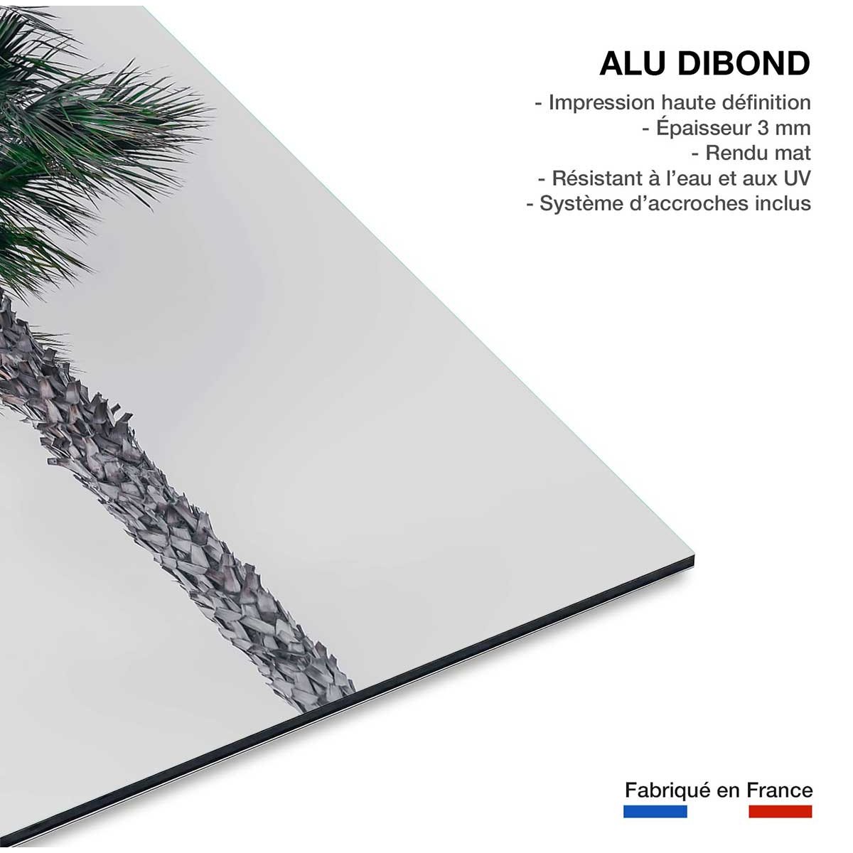 Tableau coconut palm tableau alu dibond, HEXOA