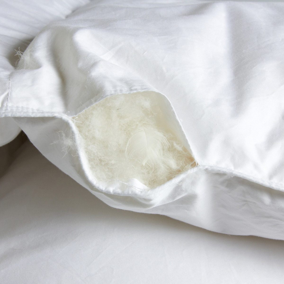 Miglio Duvet, 90% Goose Down, 280g/m² white, AM.PM