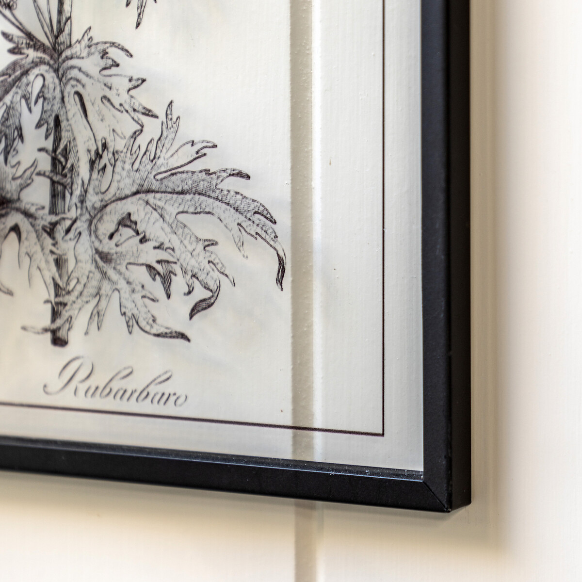 Set of 2 Petiole Art black, ÉDITÉ