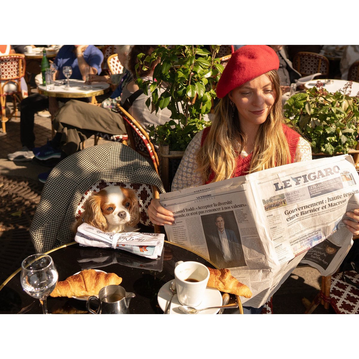 Jouet pour chien journal couleur unique, FRENCH BANDIT