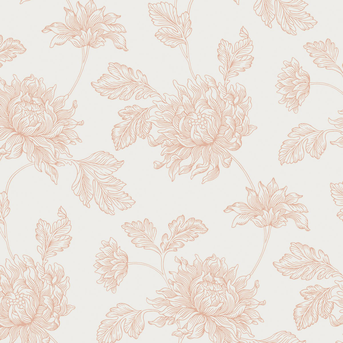 Papier peint Fleur de dahlia Stratton rose, LAURA ASHLEY
