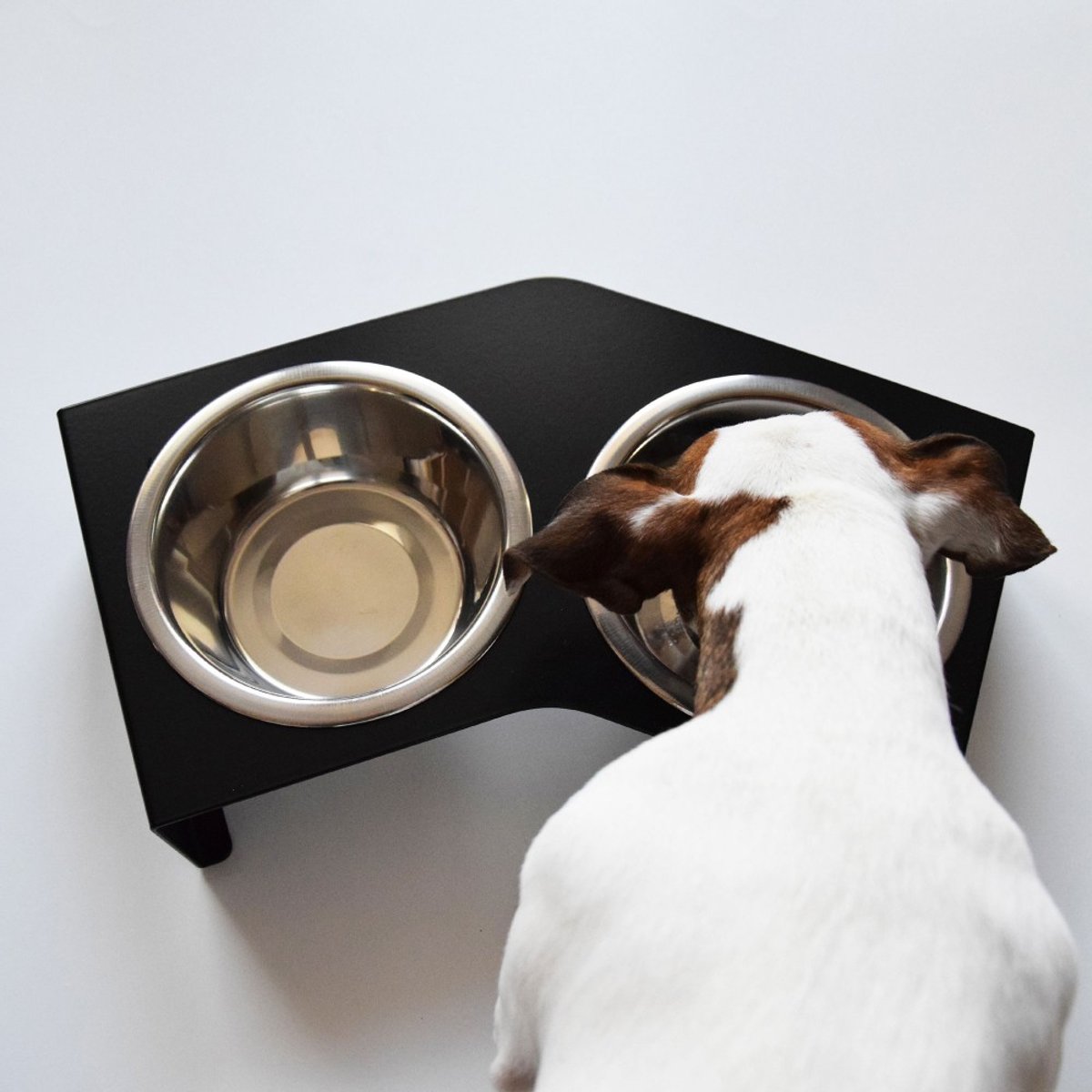 Gamelle chien surélevée socle métal, LIQUI noir, BAGANE