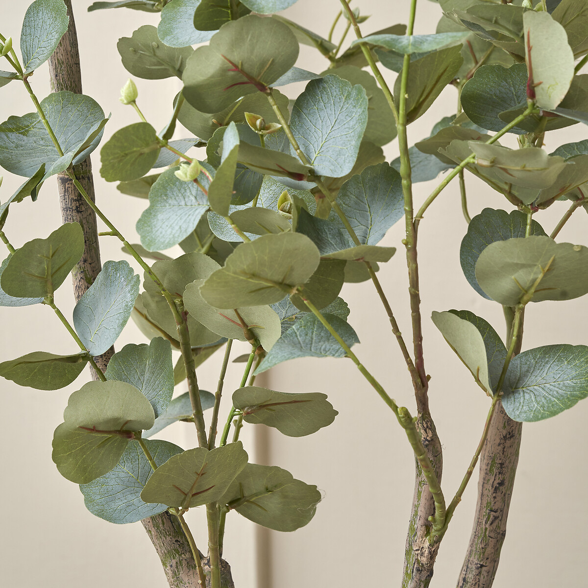 130cm Eucalyptus Tree in Pot green/grey, ÉDITÉ
