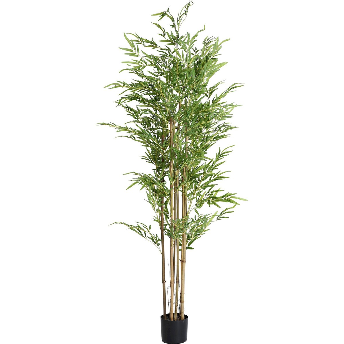 Lot de 4 bambous décoratifs style zen vert bambou naturel, RECOLLECTION
