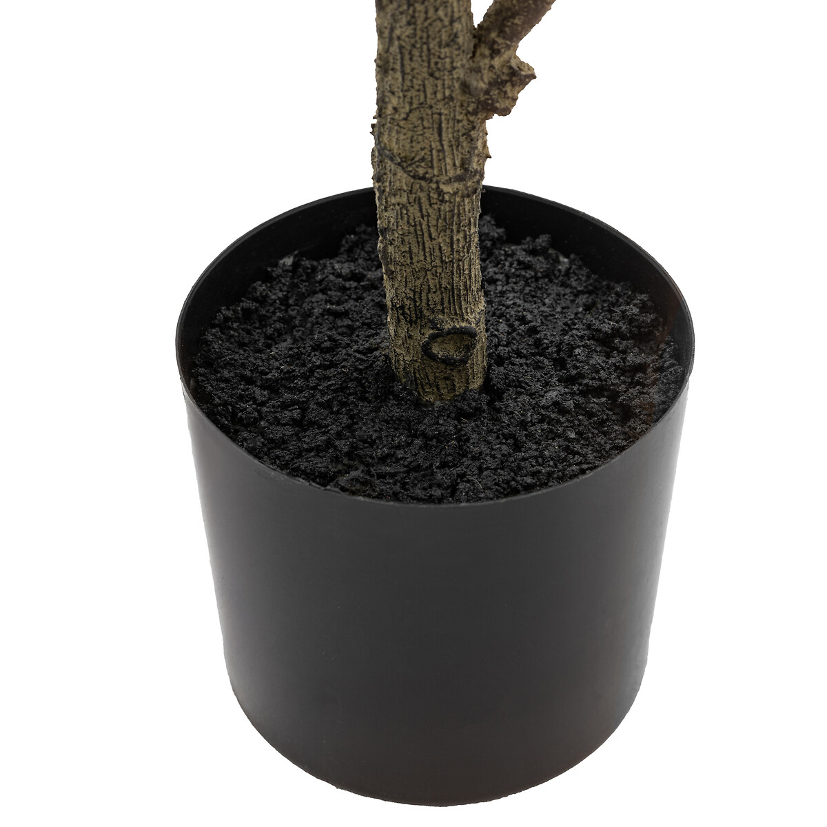 3ft Potted Chinese White Olive Tree dark green/light green, ÉDITÉ