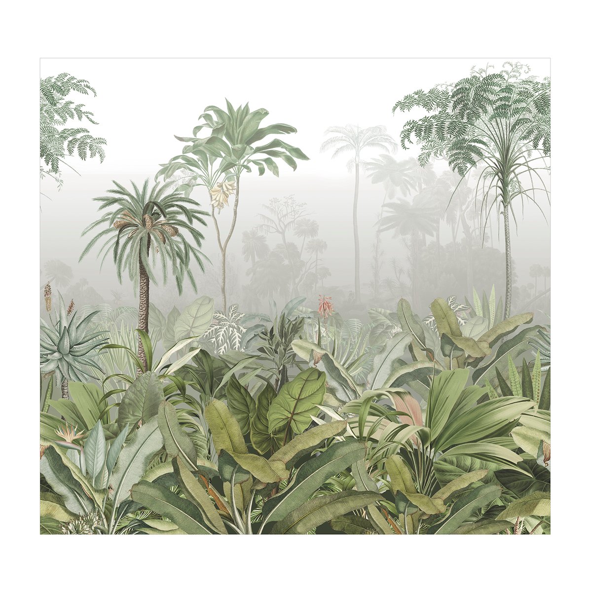 Papier peint panoramique Brume dans la jungle vert, ART FOR THE HOME