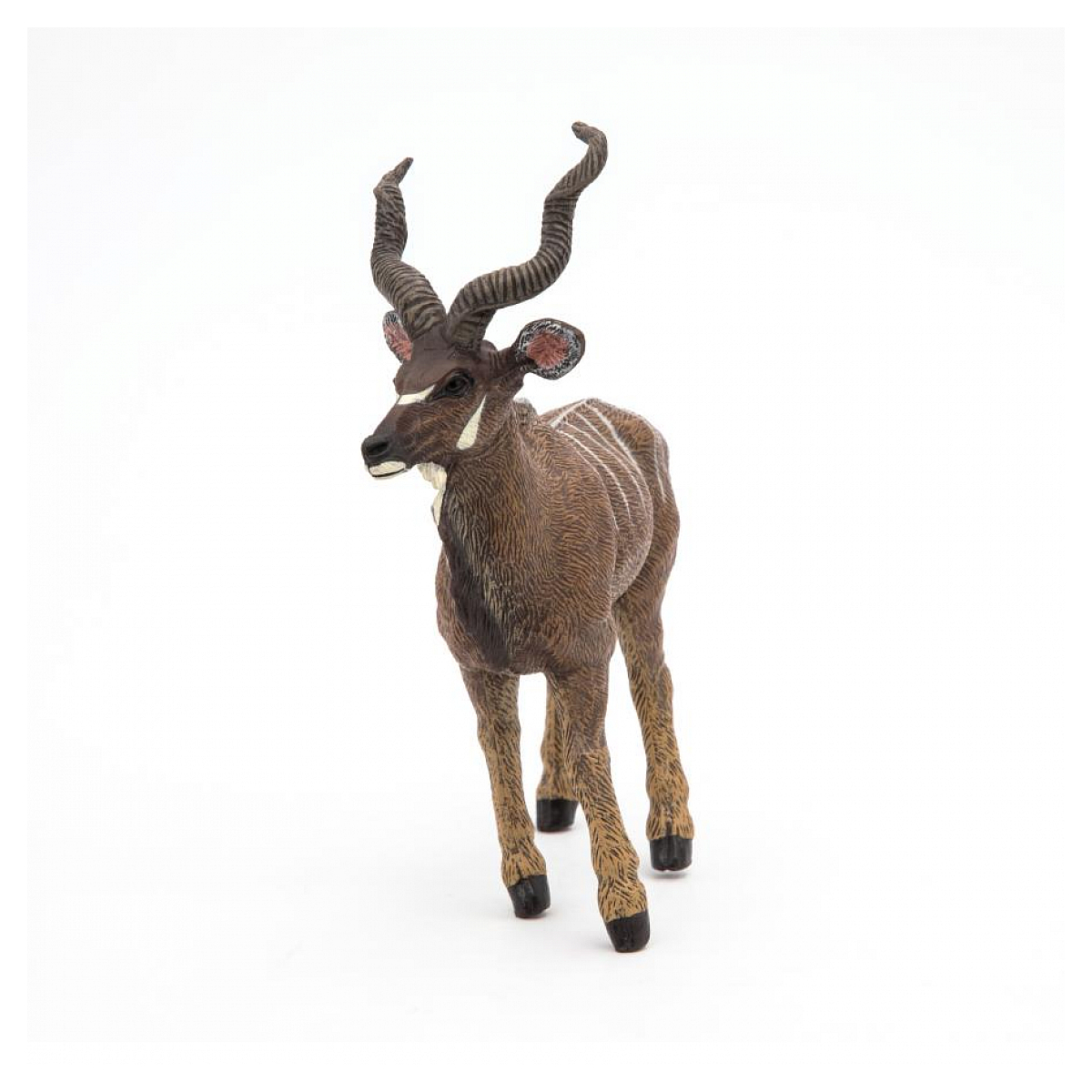 Antilope Koudou marron, PAPO