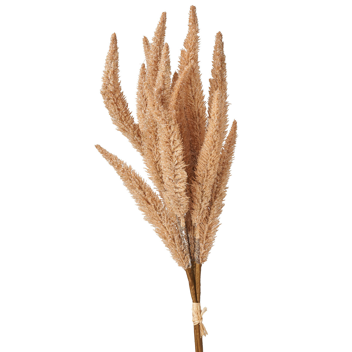 Set of 6 63cm Natural Apricot Foxtail Hand-Tied 3 Stem Bundles natural, SO'HOME