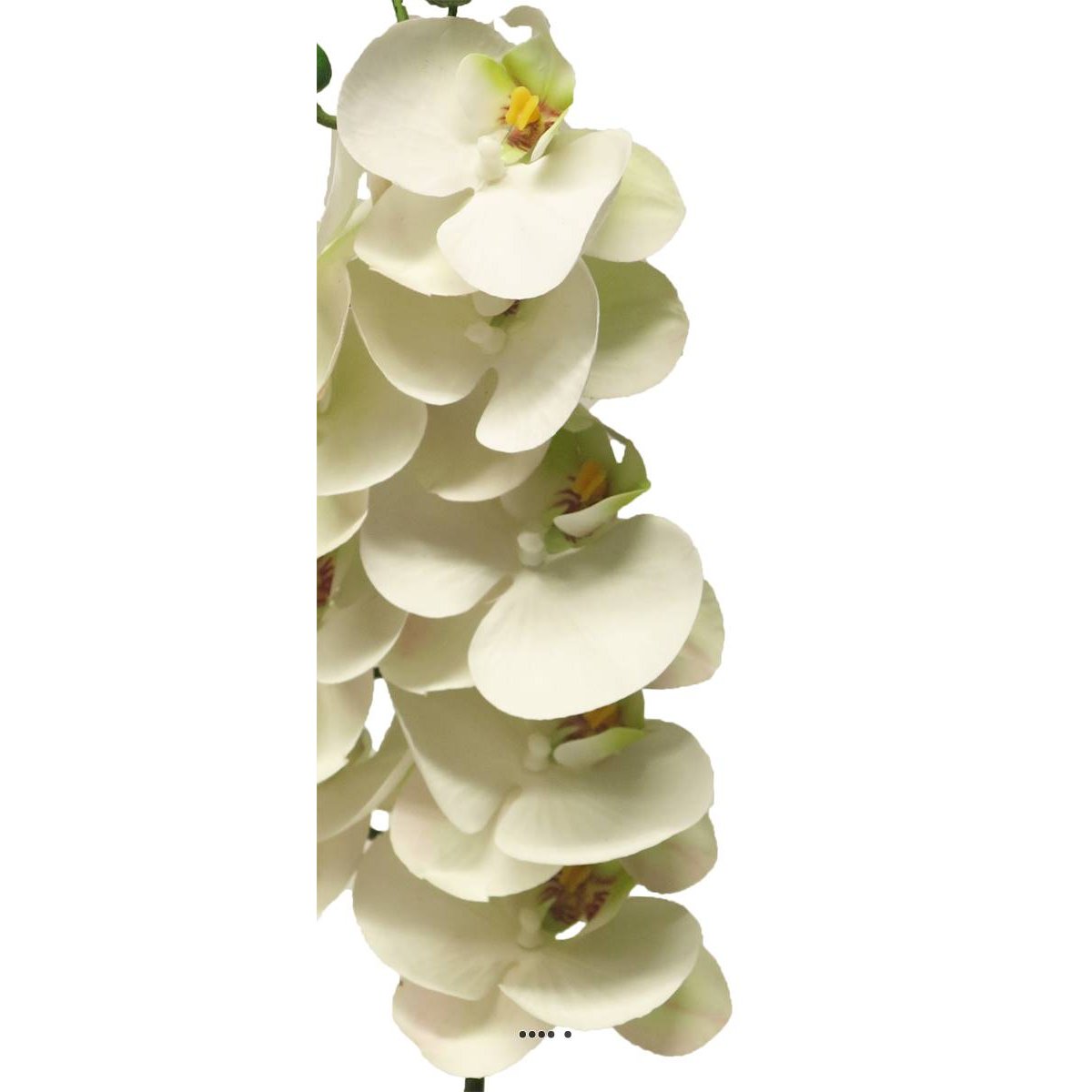 Tige orchidée phalaenopsis faux 9fleurons tou crème, ARTIFICIELLES
