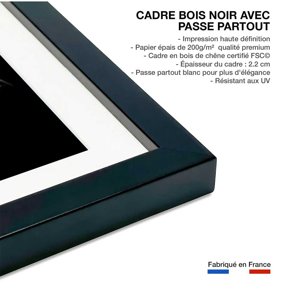 Affiche zebre dans la lumière affiche + cadre en bois - noir, HEXOA