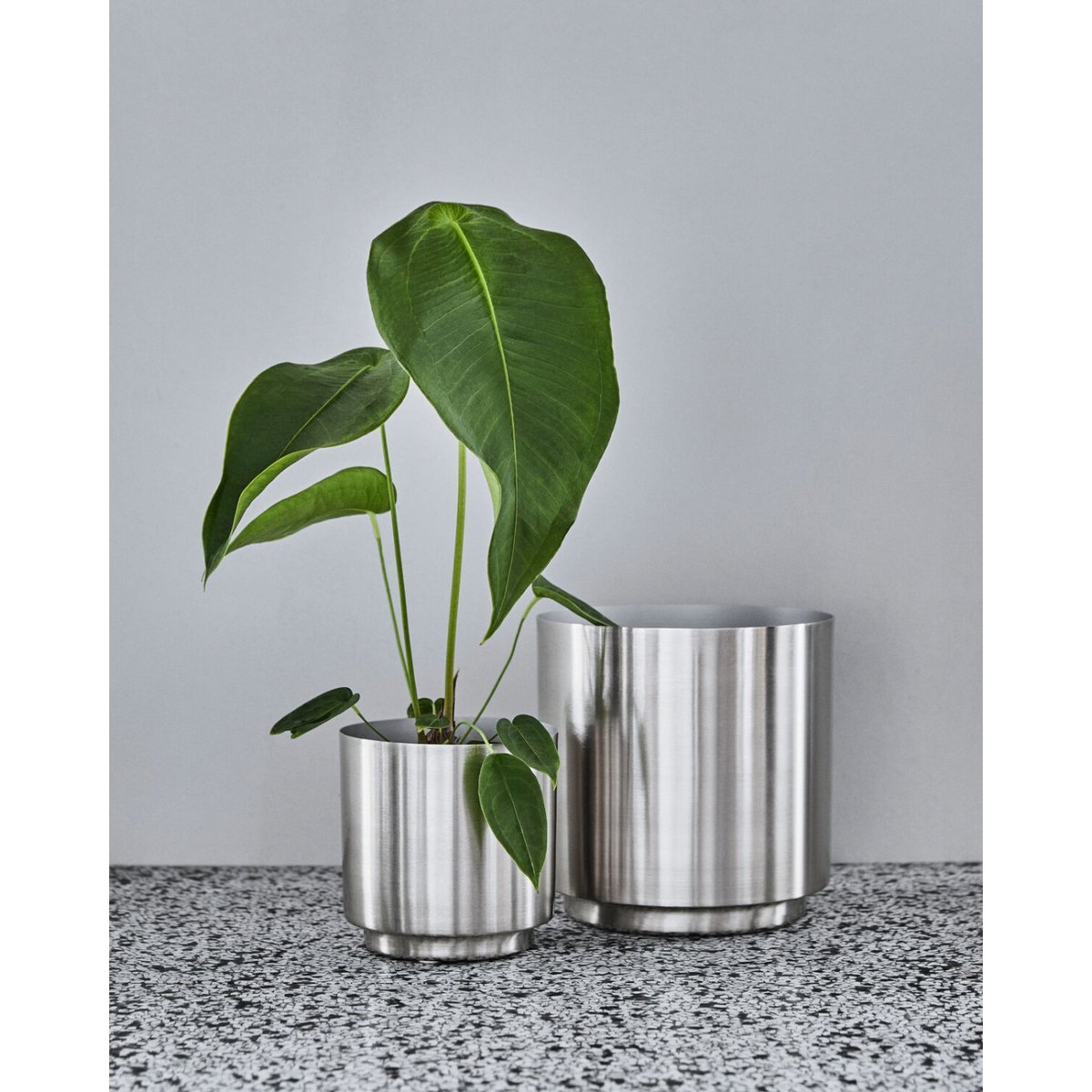 Lot de 2 cache-pots Bailey argent, HOUSE DOCTOR