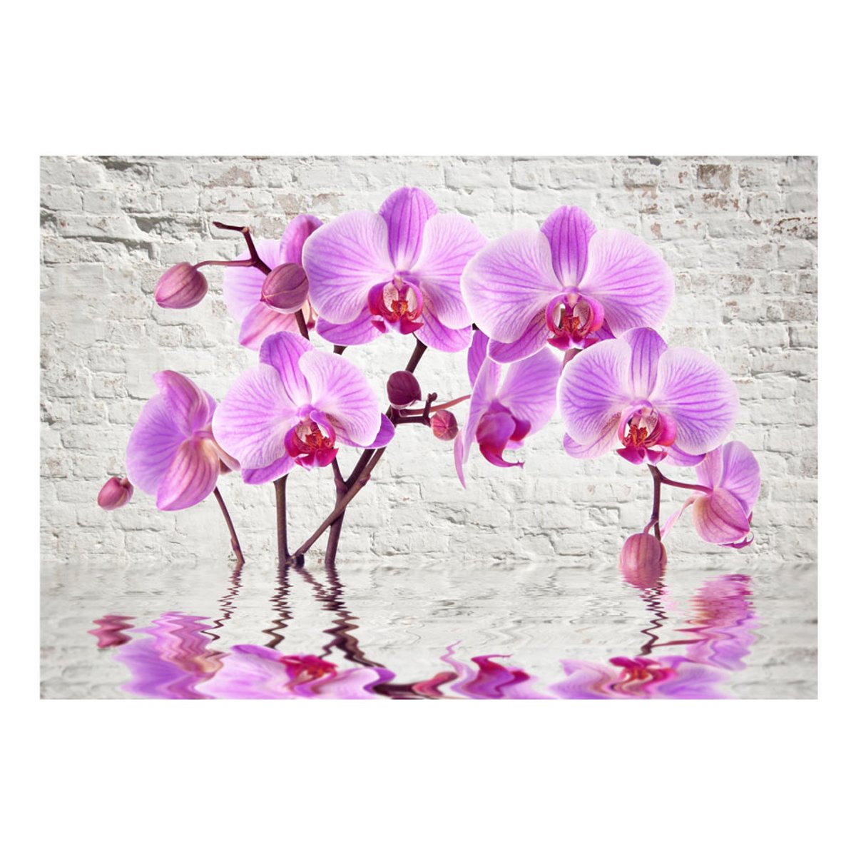 Papier peint intissé panoramique Fleurs Purple Delight rose, EDEN
